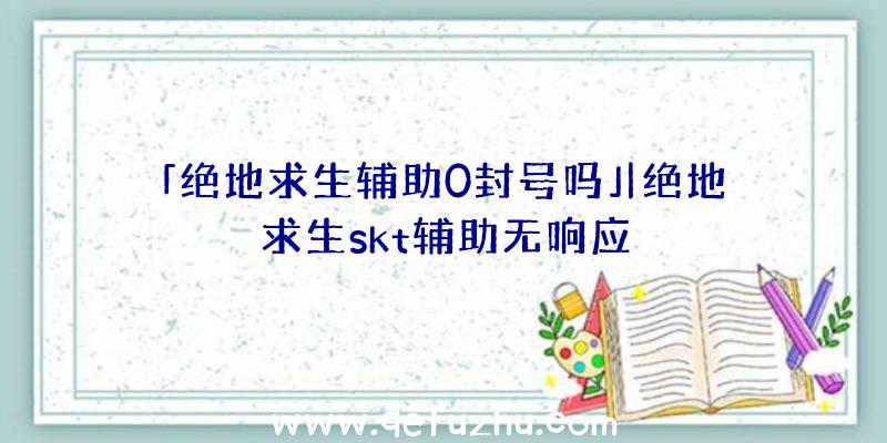 「绝地求生辅助0封号吗」|绝地求生skt辅助无响应